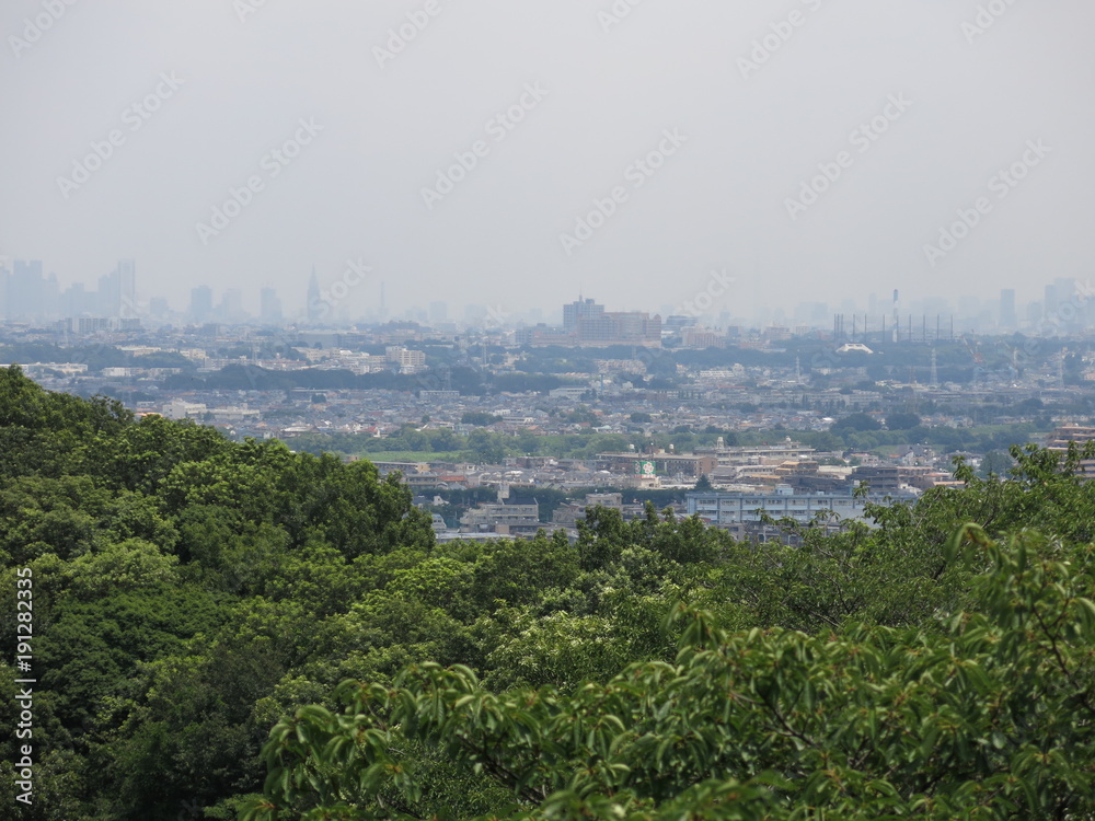 生田緑地の枡形山展望台からの眺め（東側 東京方面）