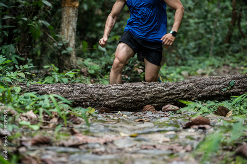 Athletic runner jumping cross tree trunk on tropical forest trail