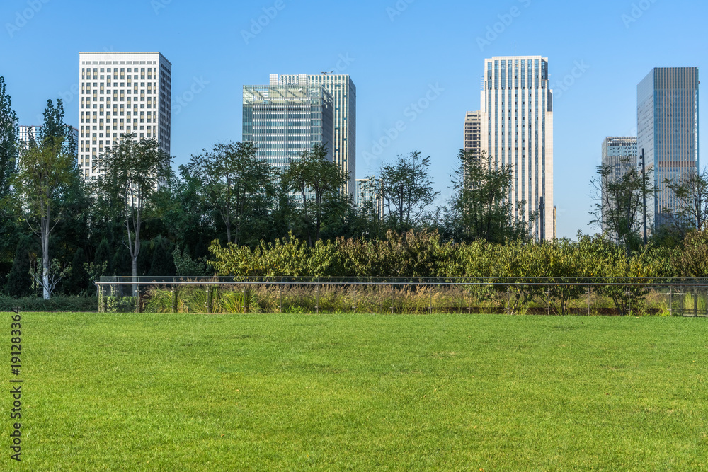 The grass and the city in Shenzhen, China