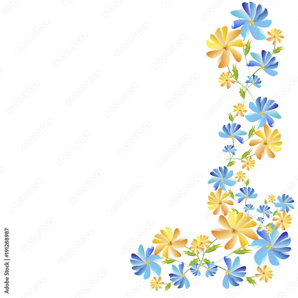 Obraz premium beautiful flowers