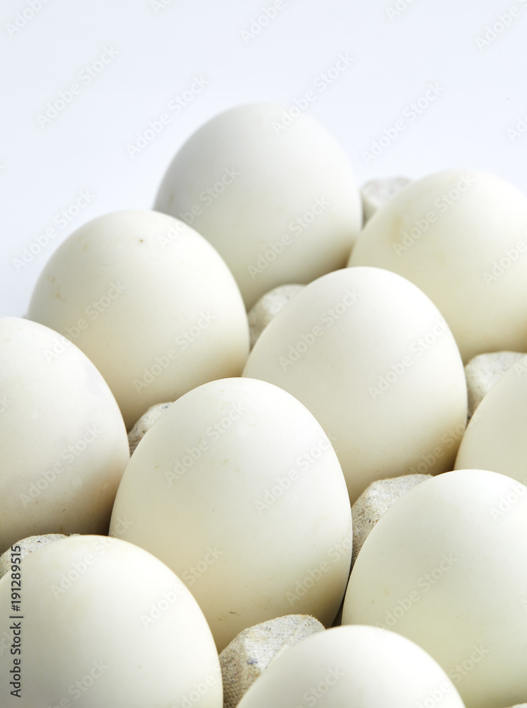 white eggs on a white background white eggs on a white background