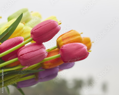 bouquet of tulips in spring