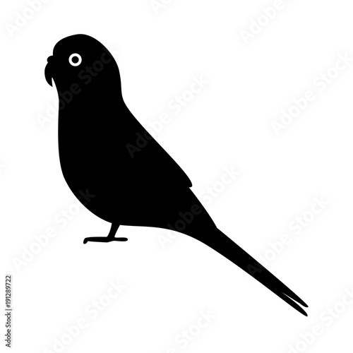Budgerigar parrot silhouette icon in flat style
