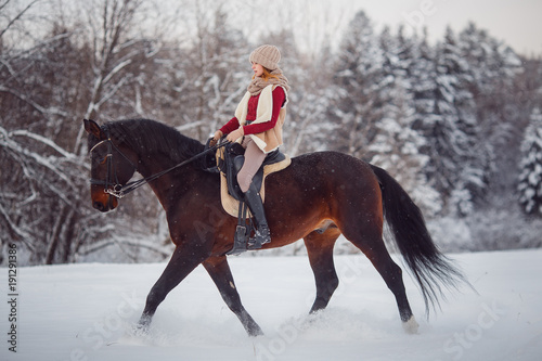 Horse. Girl rider rides brown horse through winter forest in snow. Concept walk in farm.