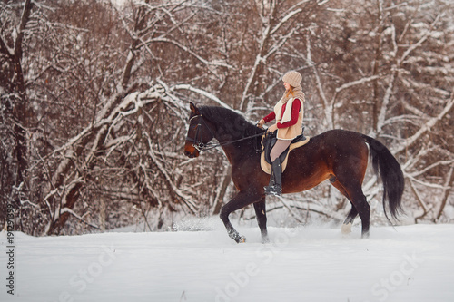 Rider young girl rides brown horse through winter forest, it's snowing. Concept of paddling animals on farm.