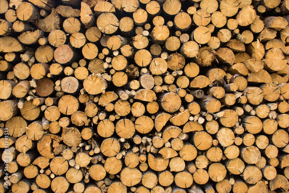 Wood texture Wood texture