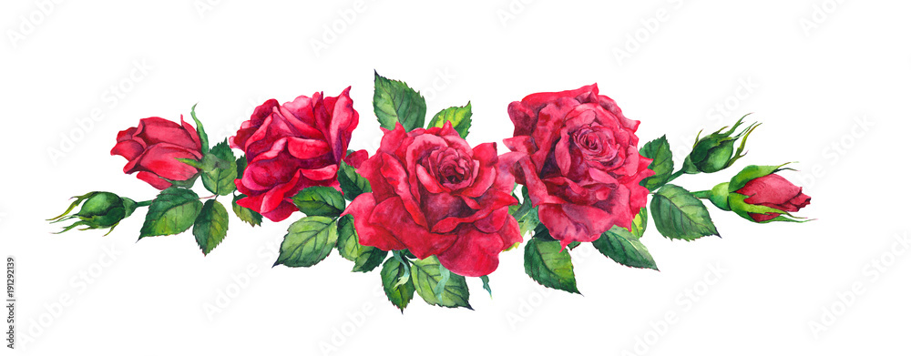Fototapeta Bukiet czerwonych róż. Ilustracja na białym tle akwarela