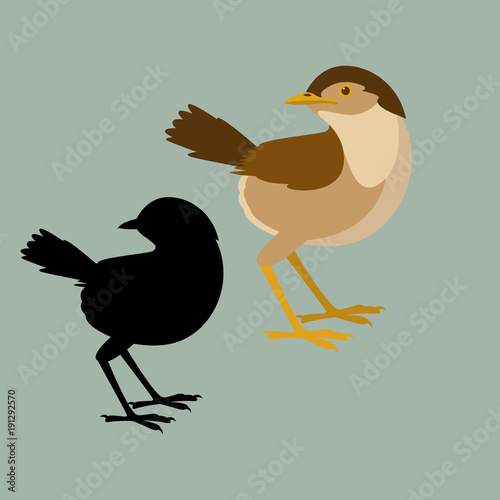 flycatcher vector illustration silhouette  flat style profile