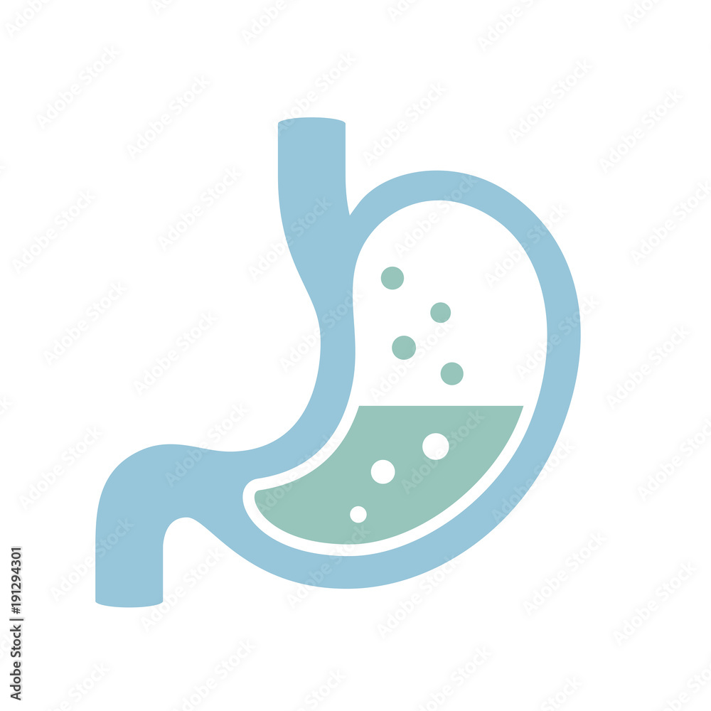 Stomach and digestion vector logo Stomach and digestion vector logo
