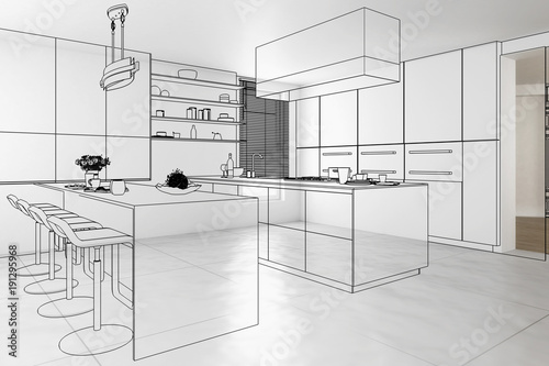Contemporary Designed Kitchen (conception)