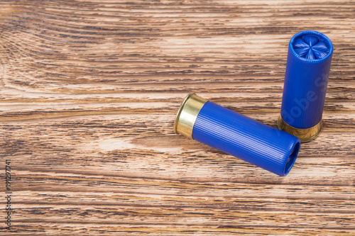 two blue cartridges on a dark wooden board