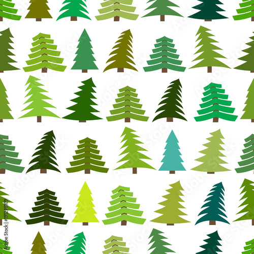 Seamless pattern with spruces on white background. Vector illustration  