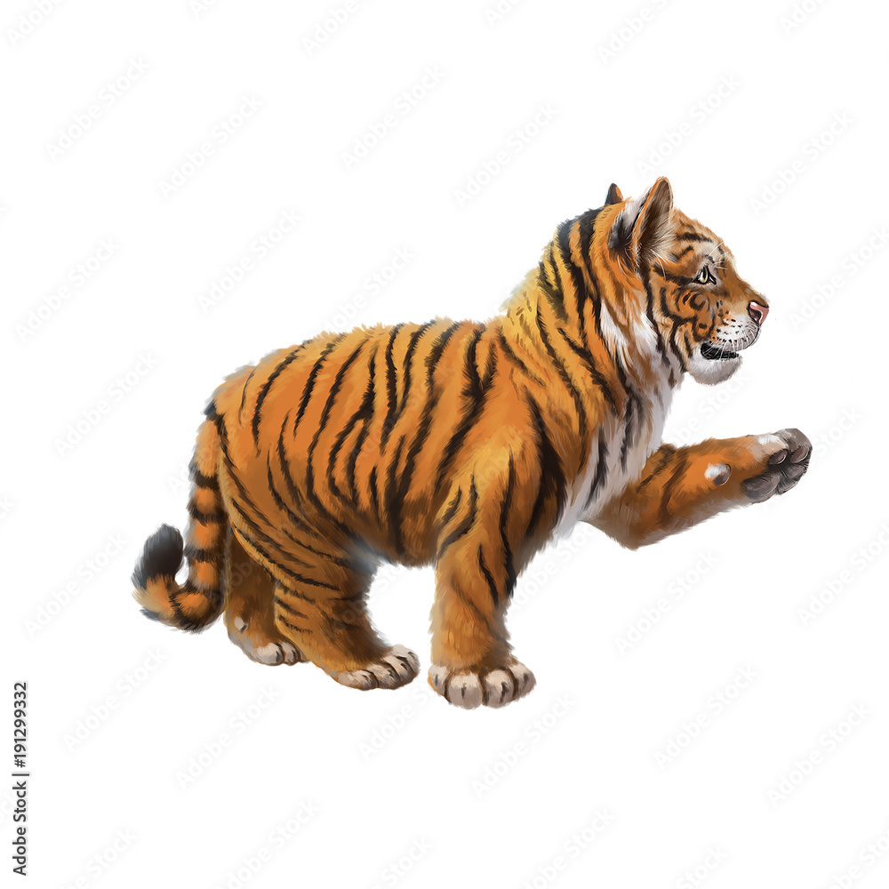 Obraz premium Little tiger with a raised paw