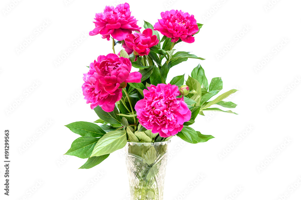 Bouquet of peonies on white Bouquet of peonies on white