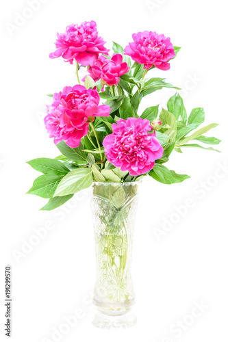 Bouquet of peonies on white