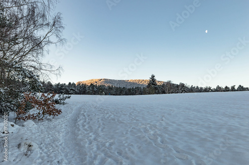 Sonnenaufgang auf den Goslarer Bergwiesen