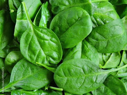Spinach baby green and juicy