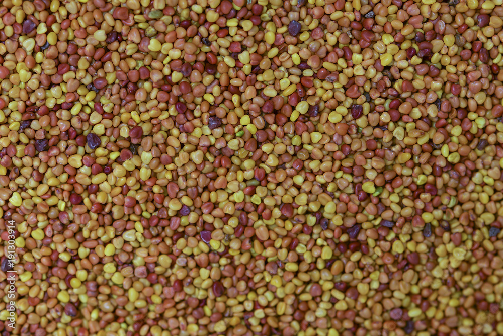 Seeds of clover as a texture close up. Seeds of clover as a texture close up.