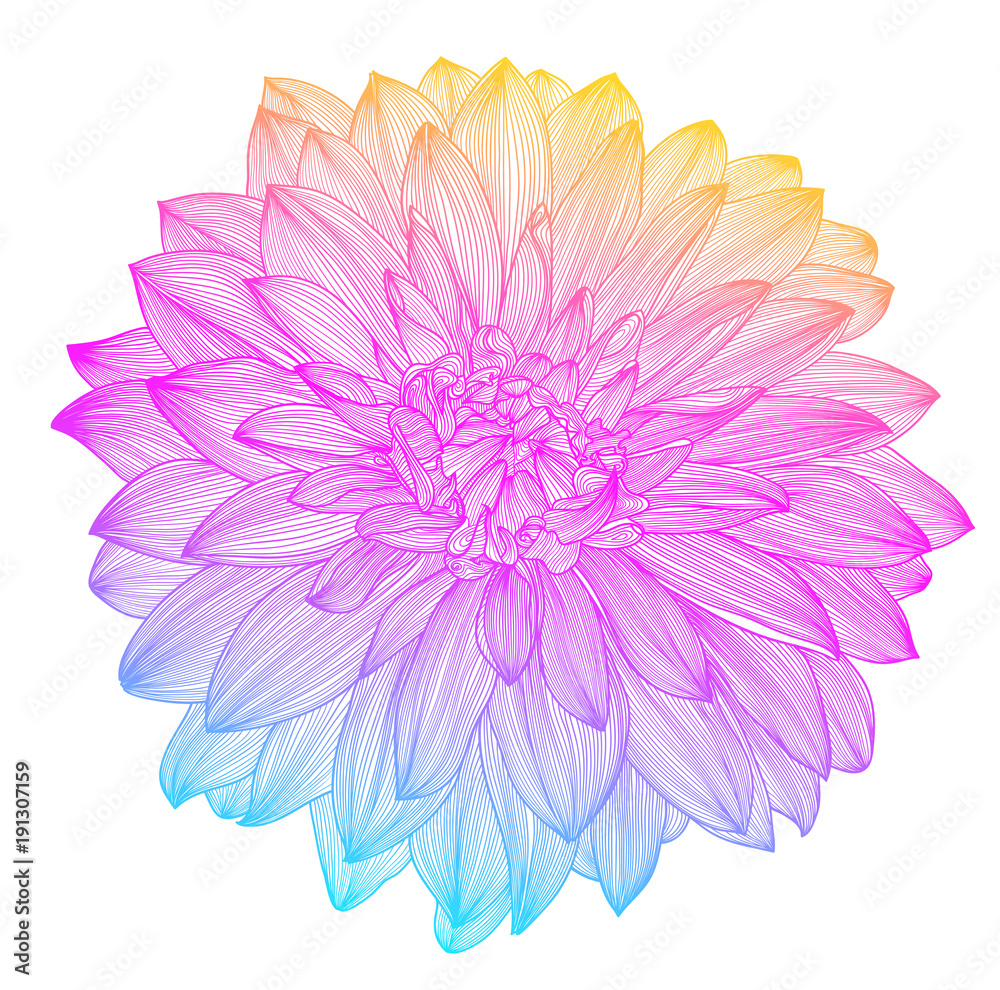 hand drawing rainbow flower, vector