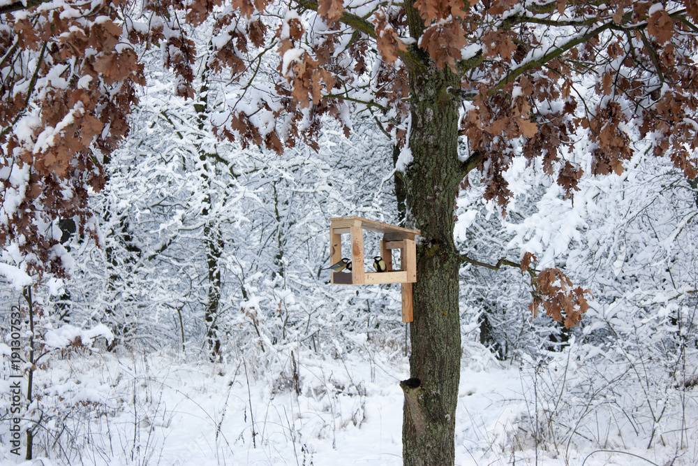 bird feeder hangs on a tree in the winter. A lot of snow. bird feeder hangs on a tree in the winter. A lot of snow.