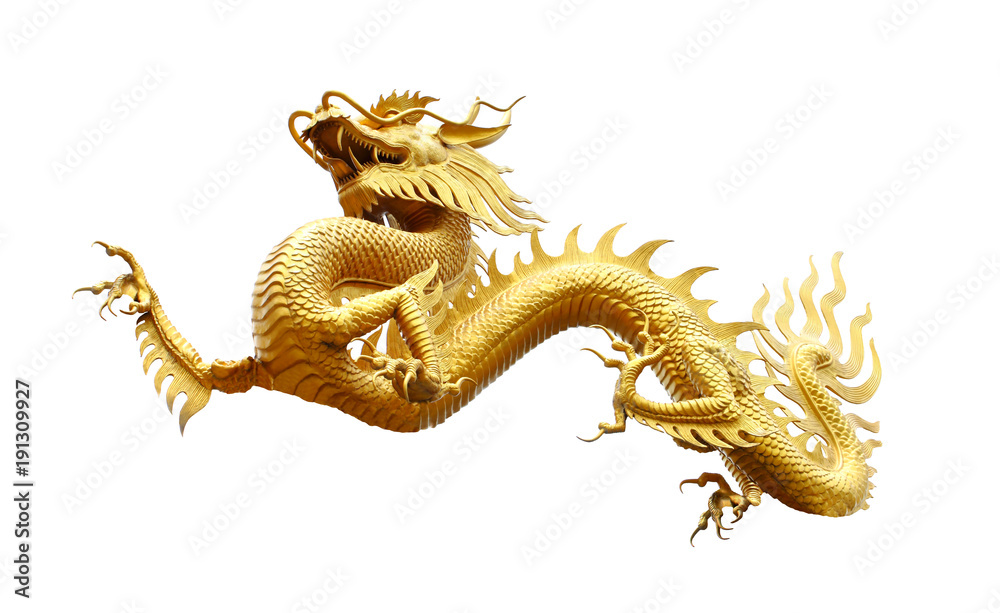 Fototapeta premium Chiński złoty smok odizolowywający na bielu z ścinek ścieżką