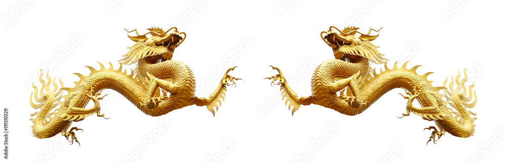 Obraz premium Chiński smok złoty na białym tle biały ze ścieżką przycinającą