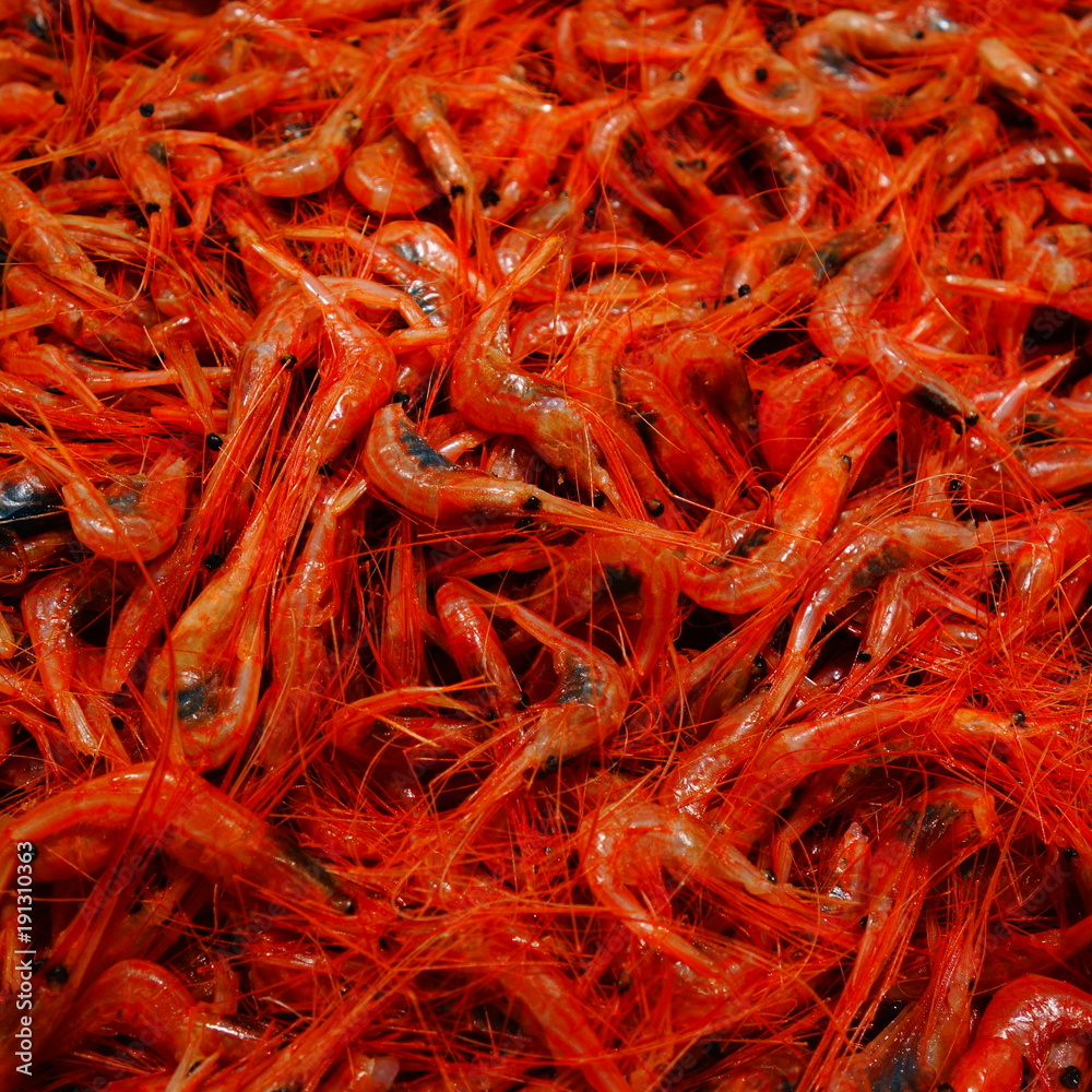 Naklejka premium A close up of prawns 