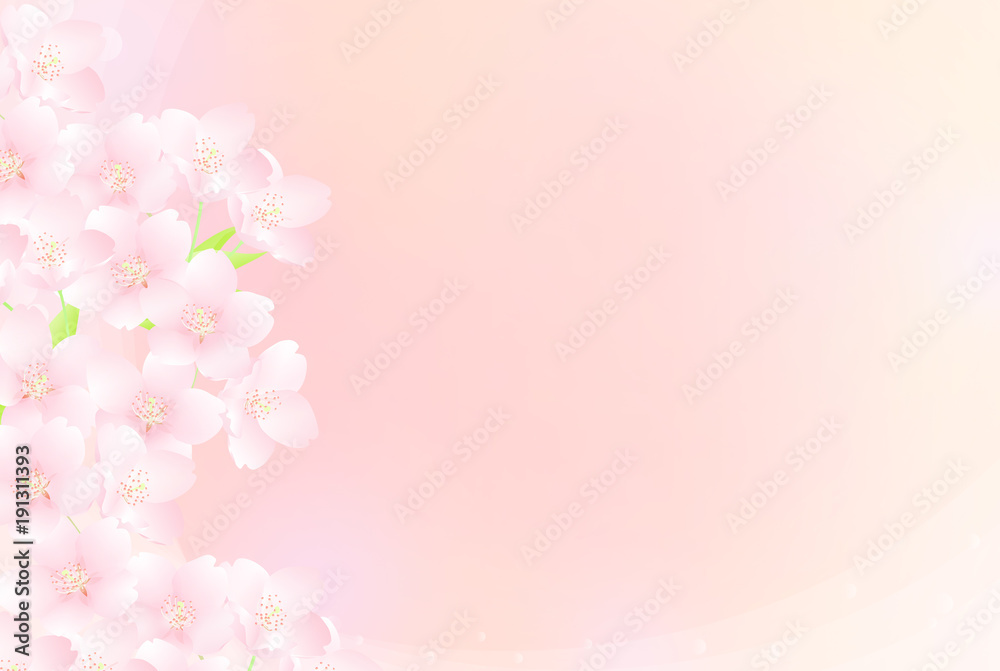 桜 クローズアップ イラスト 桜 クローズアップ イラスト