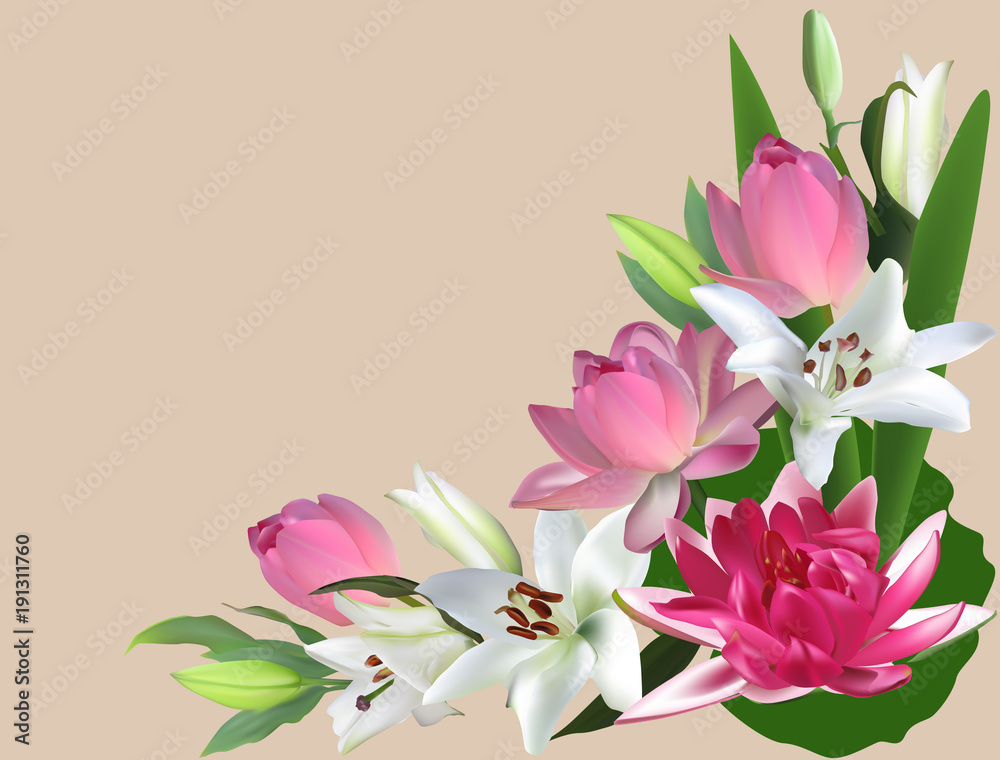 lily and lotus flower corner isolated on light background