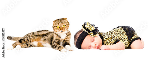 Cute sleeping newborn girl and cat Scottish Fold, isolated on white background