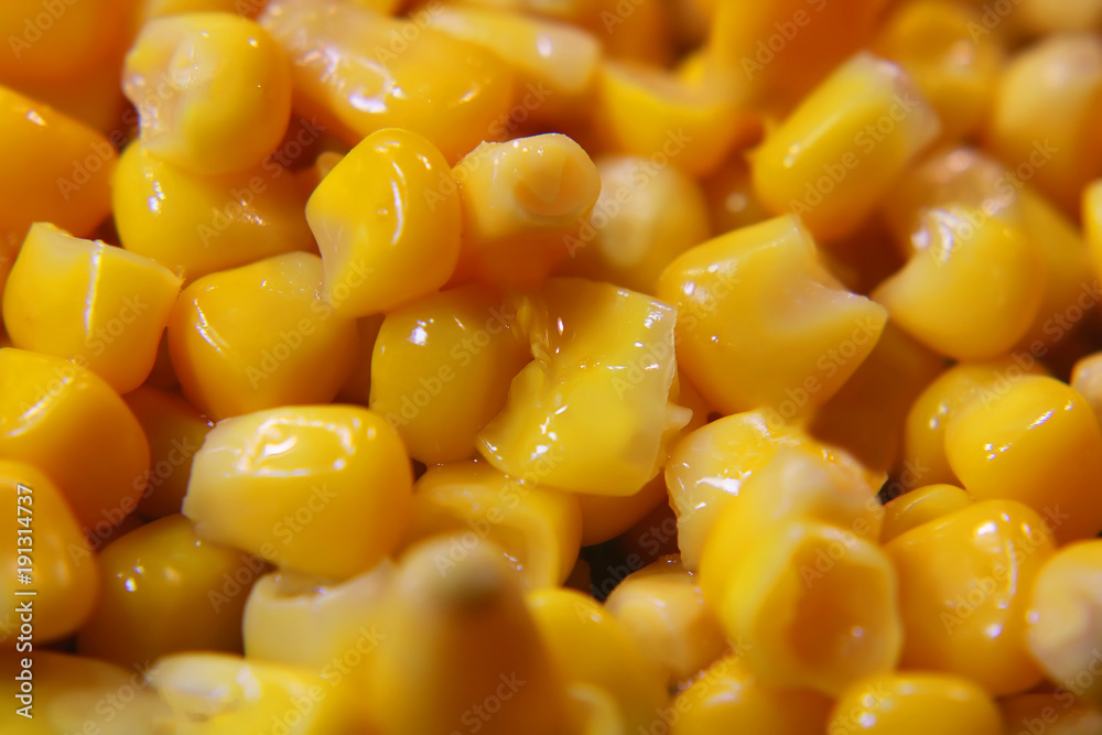 sweet corn close-up. background. sweet corn close-up. background.