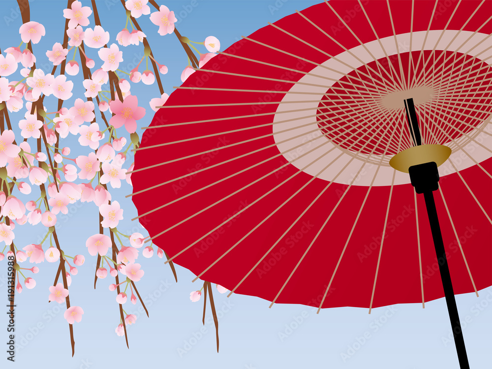 Fototapeta premium 桜と和傘の背景素材