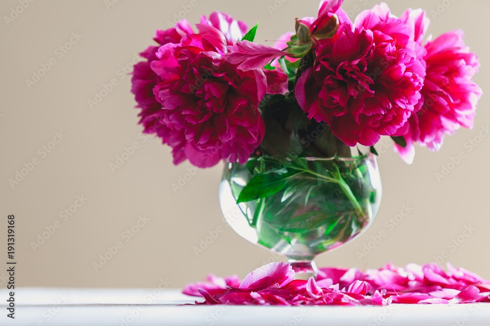 Obraz premium Bouquet of red peonies in vase on white background