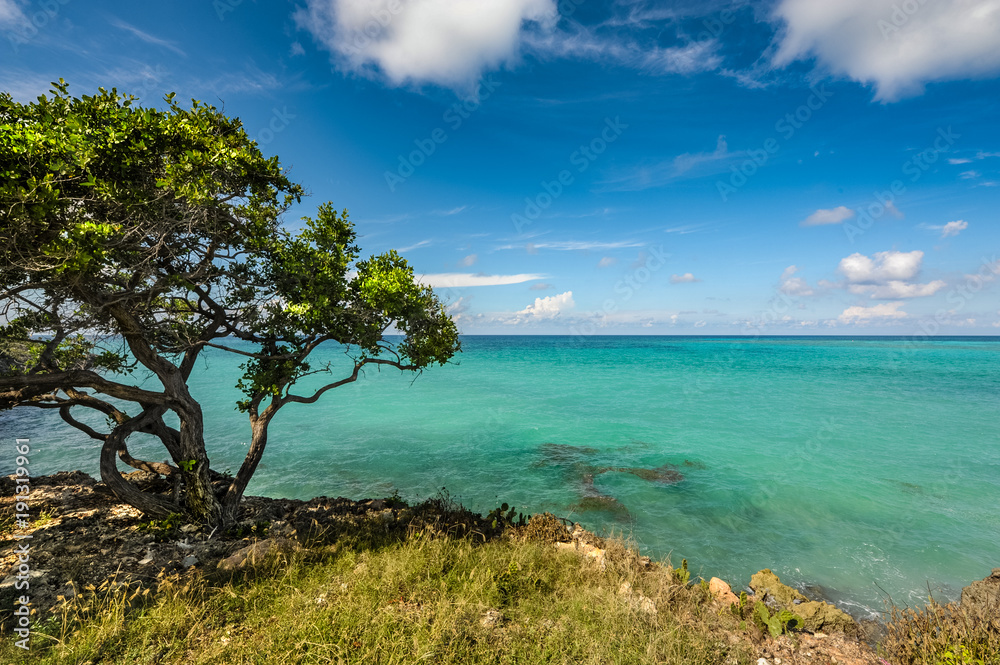 Fototapeta premium Ocean view