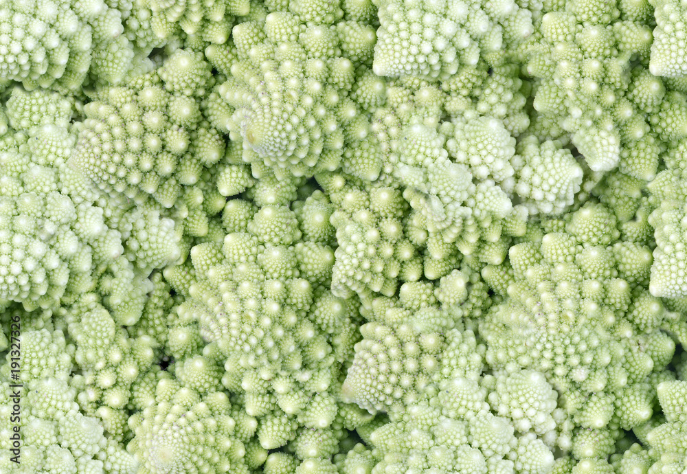 seamless background from Roman cauliflower seamless background from Roman cauliflower