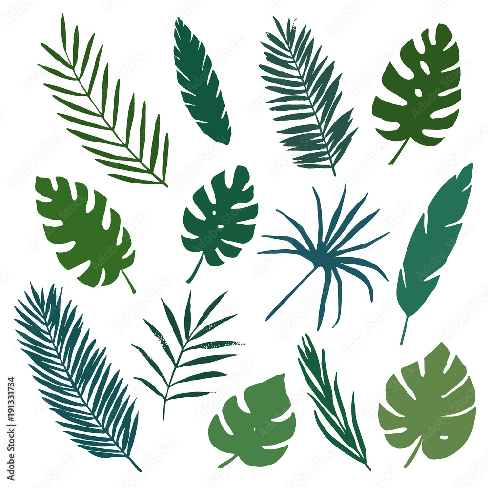 Tropical leaves set. Vector illustration
