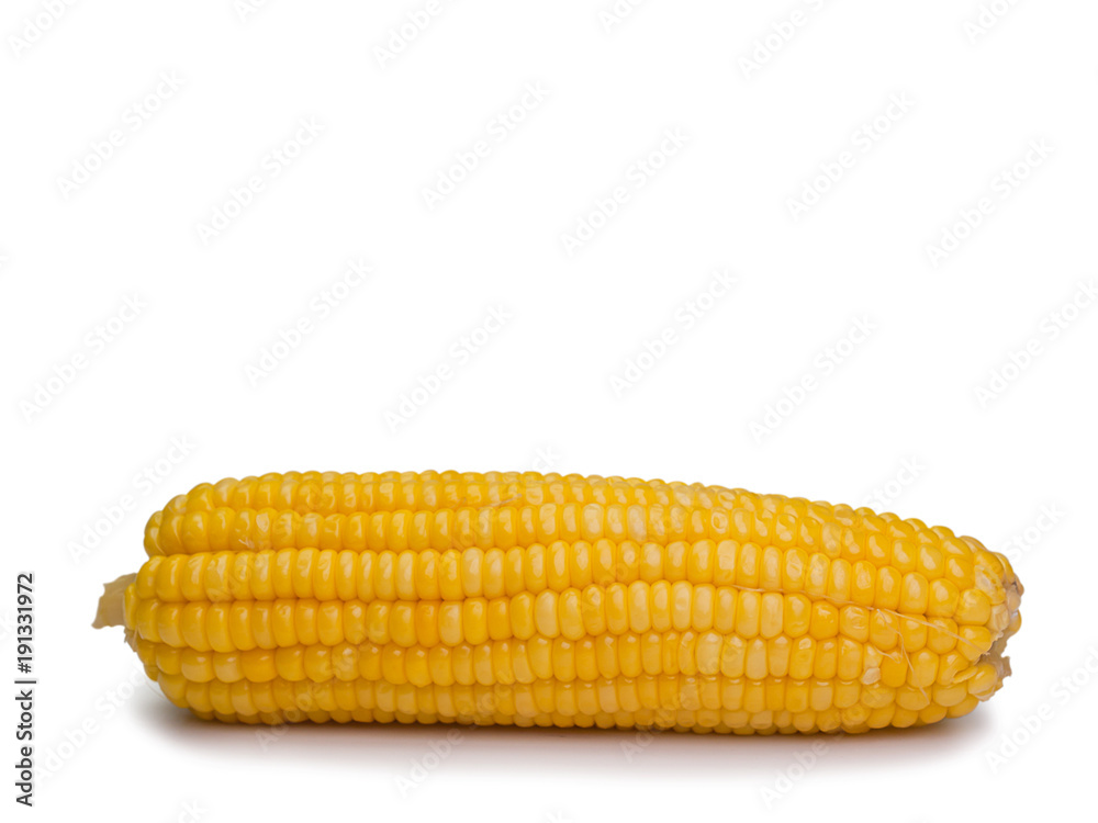Corn sweet It is a healthy food. Corn sweet It is a healthy food.