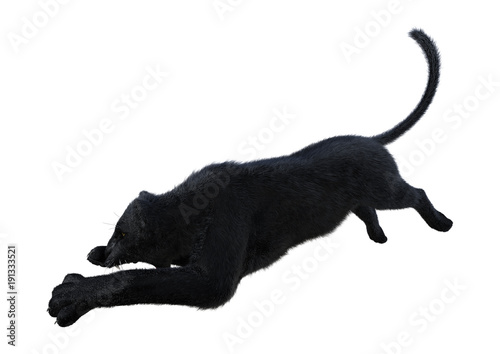 3D Rendering Black Panther on White