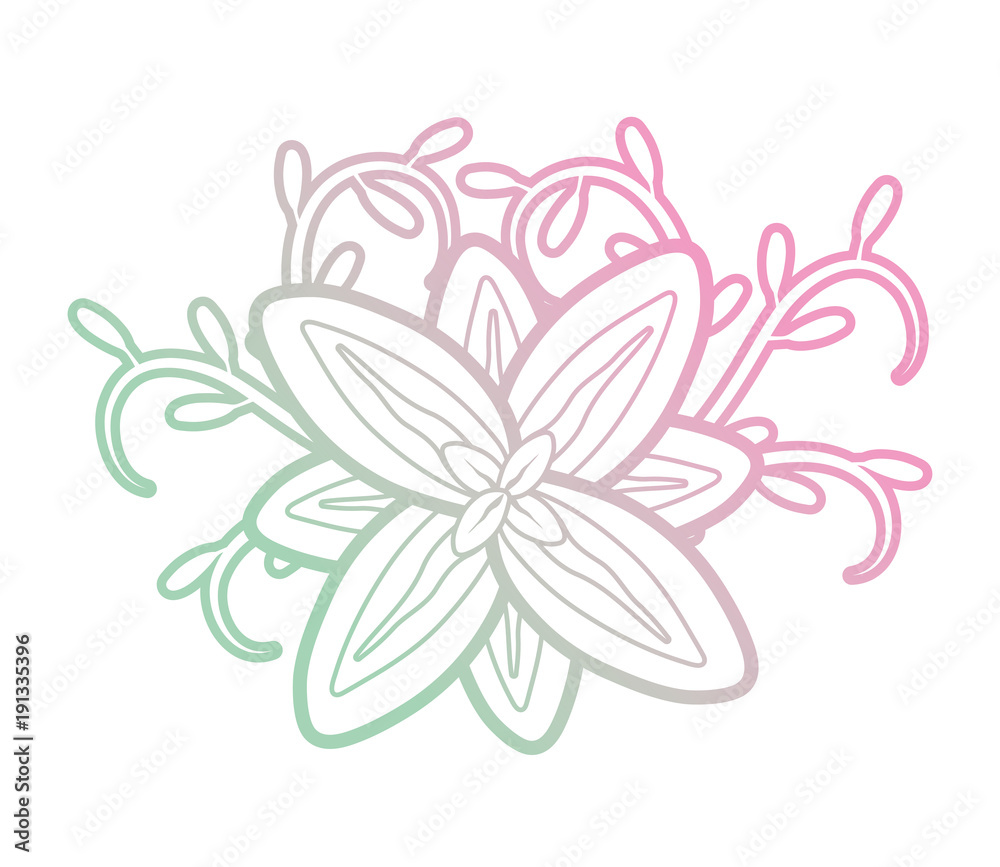 tropical flower icon