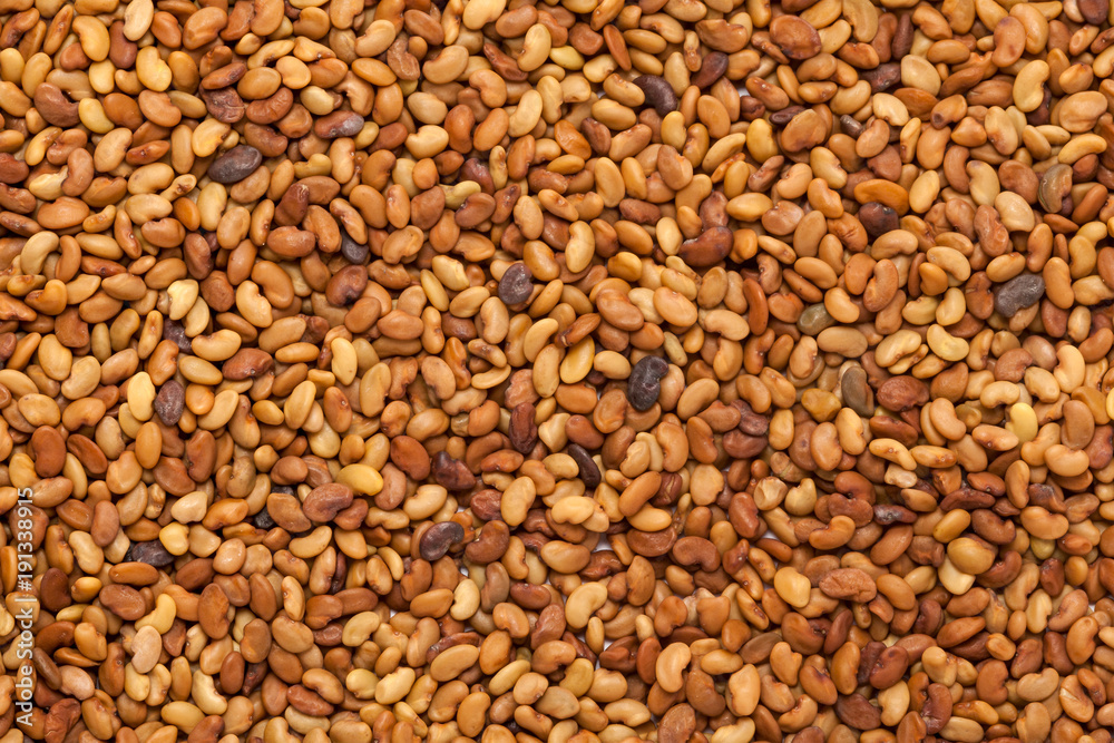 Organic Alfalfa seeds (Medicago sativa) in full frame background. Micro Closeup, Top view. Organic Alfalfa seeds (Medicago sativa) in full frame background. Micro Closeup, Top view.