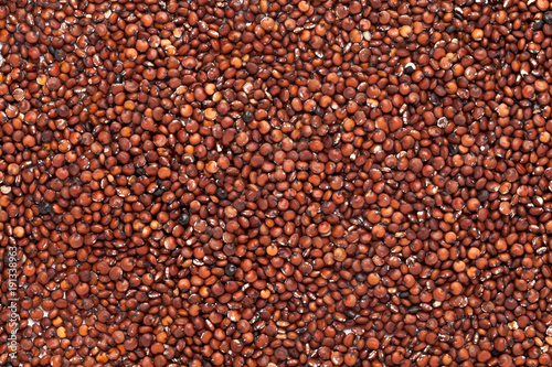 Organic Red Quinoa seeds (Chenopodium quinoa) in full frame background. Micro Closeup, Top view.