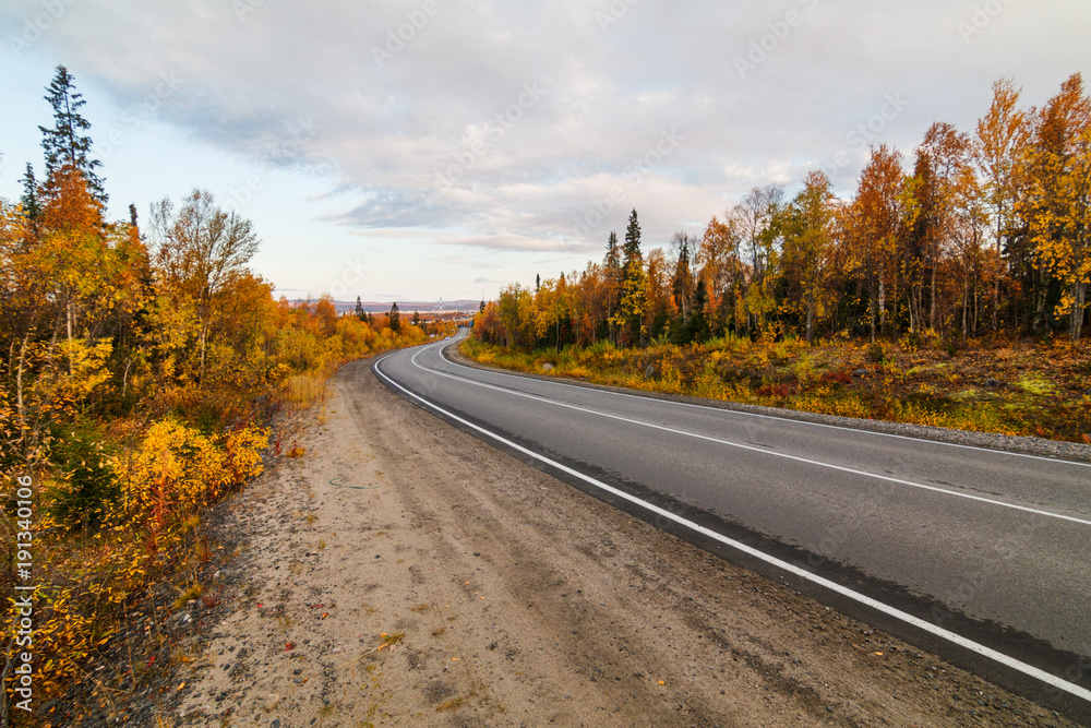 road on the Kola Peninsula/ road on the Kola peninsula in autumn, Murmansk region, Russia