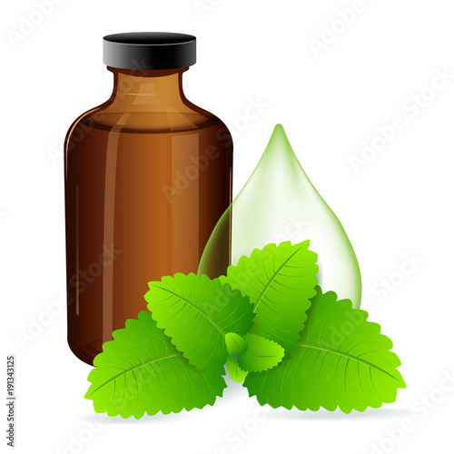 Flask of Peppermint oil. Peppermint leaves. Vector illustration