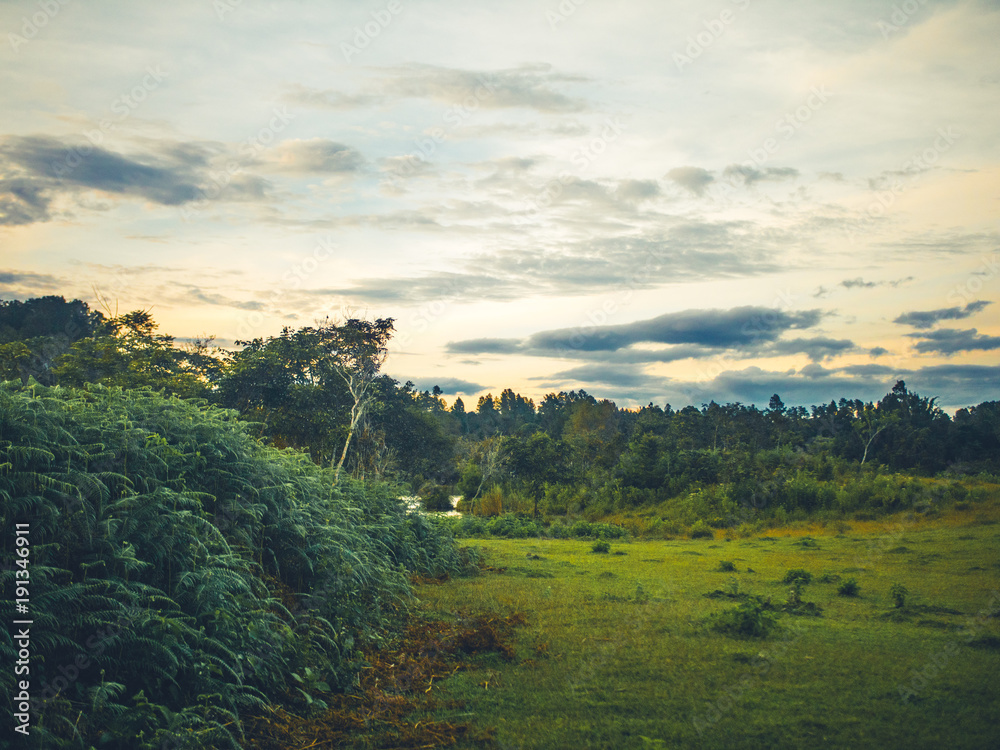 Obraz premium Nature