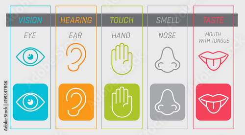 Icon set of five human senses vision (eye), smell (nose), hearing (ear), touch (hand), taste (mouth with tongue). Vector illustration