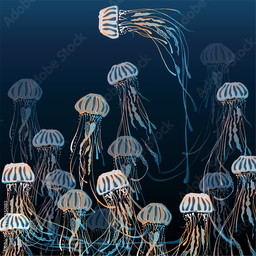 The magic color of marine jellyfish. Transparency and finesse of jellyfish. Creating ocean patterns
