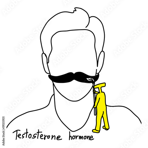 metaphor function of testosterone is to grow facial hair vector illustration sketch hand drawn with black lines, isolated on white background. Education Medical concept.