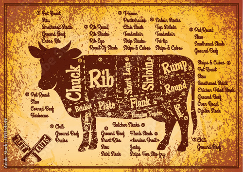 vector color poster with detailed diagram cutting cows