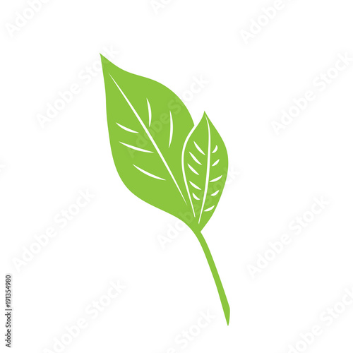 Green leaf eco
