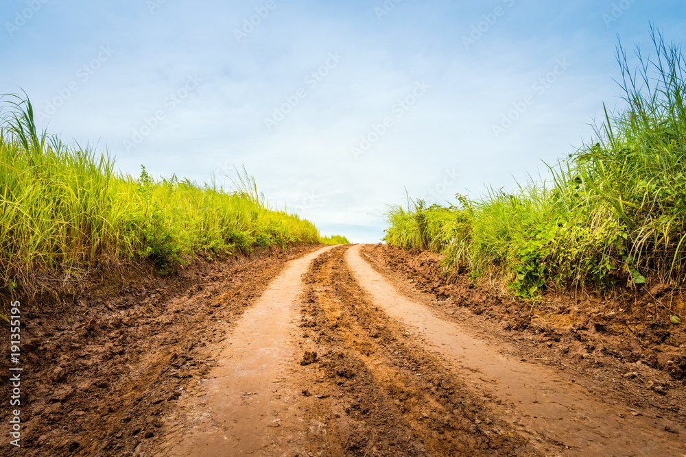 Fototapeta premium Rural road